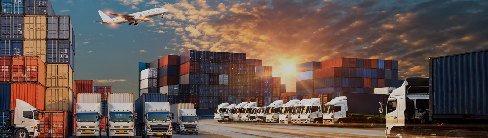 Total Logistic Solutions